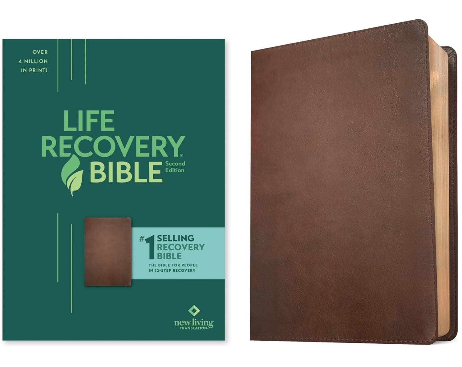 The Recovery Bible