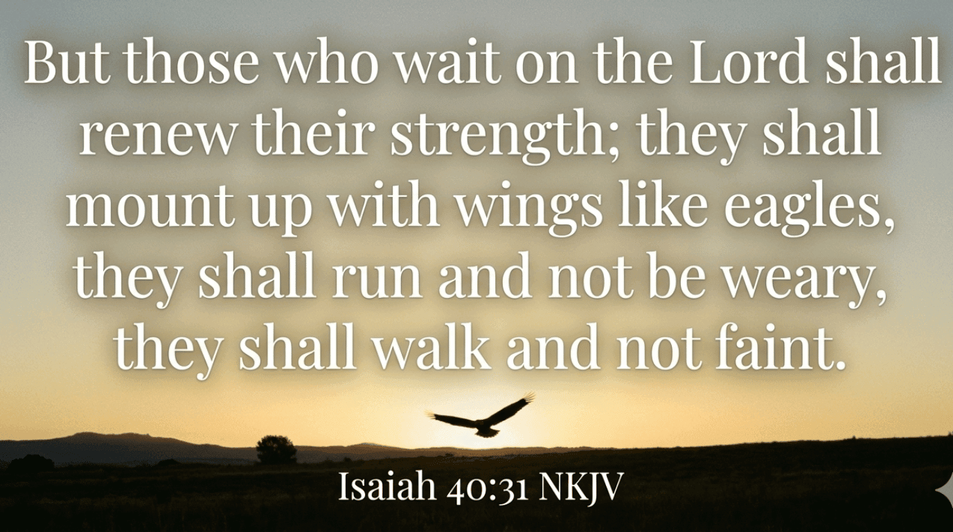 Bible verse graphic Isaiah 40:31 — Those who wait on the Lord shall renew their strength