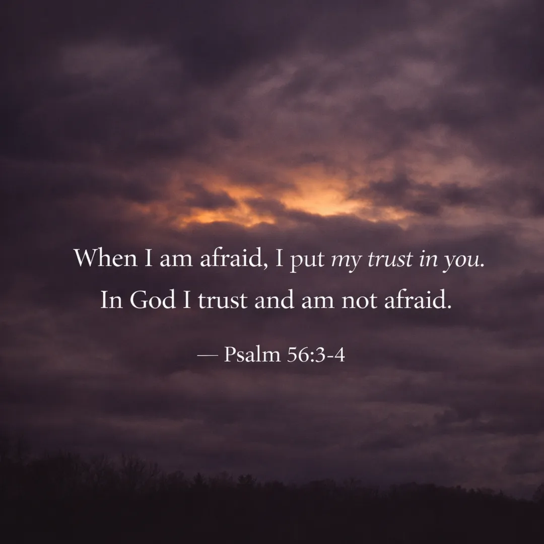 Scripture graphic — Psalm 56:3-4: When I am afraid, I put my trust in you. In God I trust and am not afraid