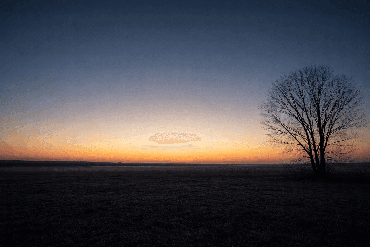 Wide dawn landscape with gold light breaking at the horizon over dark still earth and a single bare tree, evoking long waiting and the slow arrival of renewal.